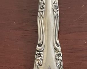 60pc Rogers Dream Rose Stainless Steel  Flatware Set		