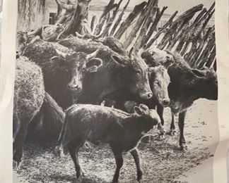 Signed Lot of 6 Robert Shoofly Shufelt Lithographs Prints	16x20in	
