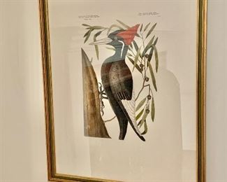 Woodpecker print