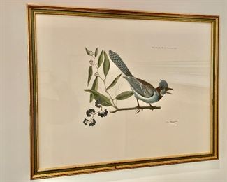 Bluebird print