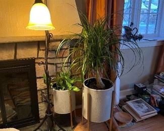 Plants & Floor Lamp