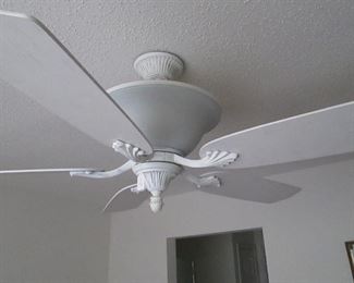 Ceiling Fan with Light