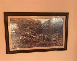 Wild Turkey Turkeys framed Print
