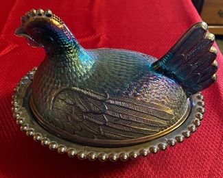 Carnival Hen on Nest