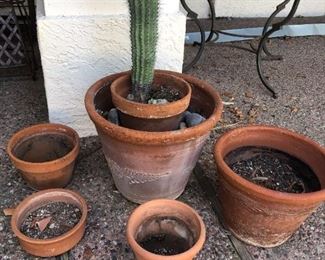Cactus with Pots