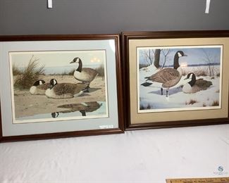 Wm Redd Taylor Prints
Two (2) framed Wm. Redd Taylor geese prints. H28" x W34" Print w/two geese #47/950 signed. Print w/three geese #275/600 signed. Prints in good condition, frames show some scuff marks.