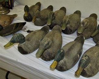 vintage animal trap wood duck decoys. Mason bluebill decoy