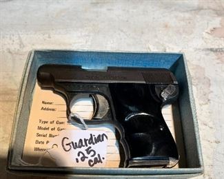 Guardian 25 caliber $125