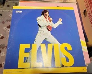 Oh yes the King is right here