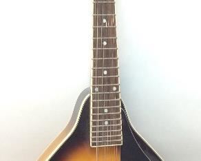 ROGUE MANDOLIN RM-100A 8 STRING, NO CASE