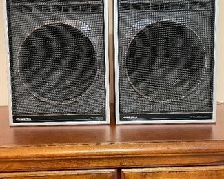 Vintage Soundesign wide range speakers - working! 