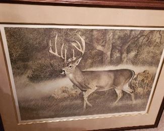 Texas Whitetail lithograph - #ed 769/950 - signed Charles  Beckendorf - $ 95