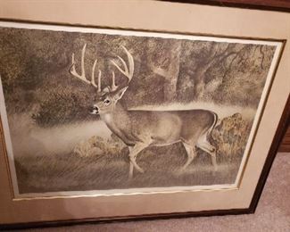 Texas Whitetail lithograph - #ed 769/950 - signed Charles  Beckendorf - $95