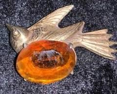 bird amber