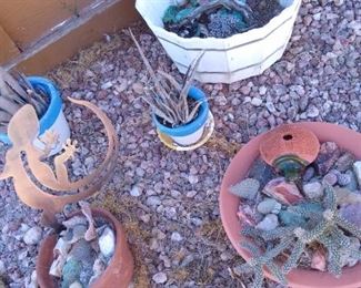 Cacti, Aloe plants, Desert dish gardens