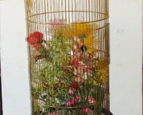 Mid-Century modern bird cage, hair pin legs