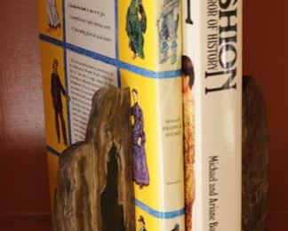 Petrified wood bookends