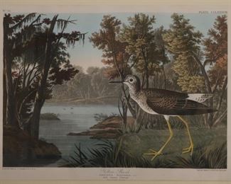 Audubon, Yellow Shank (Not a reproduction)