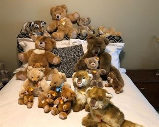 Great collection of a Steiff bears from W Germany.