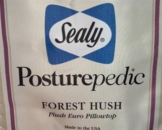 King Matt/BS Sealy Posturepedic