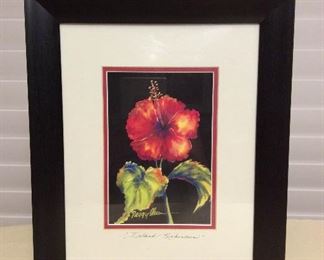 Afm117 Framed “ Island Hibiscus “ Picture By Peggy Chun