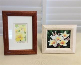 Afm122 Framed Original Plumeria Flowers Painting & Print
