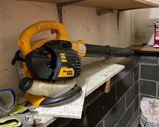 Gas Leaf Blower