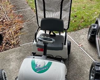 Childs Mini Golf Cart