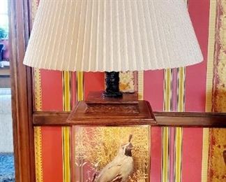 Wooden glass Quail lamp with to quills. Glass display box lights up separately from the lamp. Excellent condition