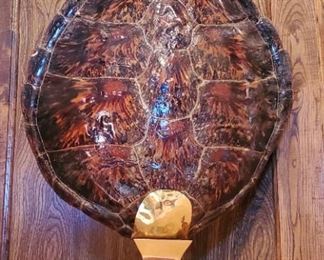 Authentic large Turtle lamp.