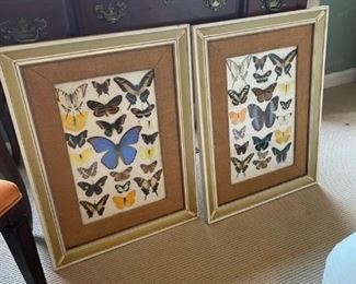 MCM Framed Butterfly Art