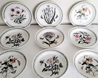 Portmeirion botanic garden