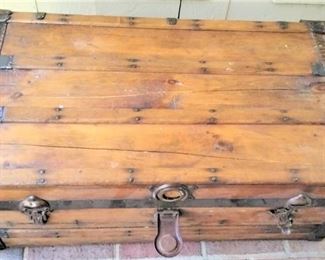 BEAUTIFUL WOOD TRUNK