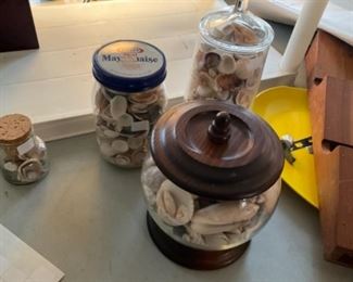 Seashells