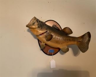 Mounted fish
