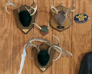 antler mounts