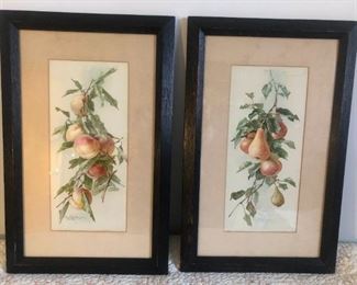 Antique Fruit Prints