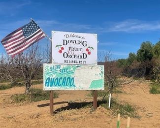 Display only not for sale