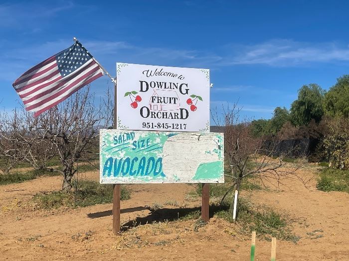 Display only not for sale