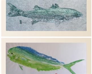 Two large works by Sarasota art fair favorite, Jim Roberts. The top, "Striper," is a print of a Striped Bass, 05/450. The bottom is a Bull Dolphin. Both images are approx. 17 x 35 inches and are unframed.