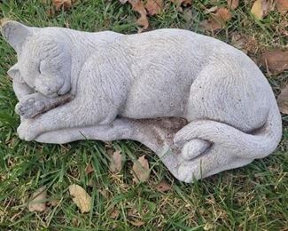 Concrete sleepy cat