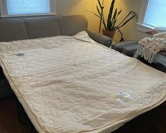 3 Seater Sofa Sleeper Couch featuring AirDream Ultra Sofa Sleeper System BUY NOW https://www.estatesales.net/marketplace/items/611318