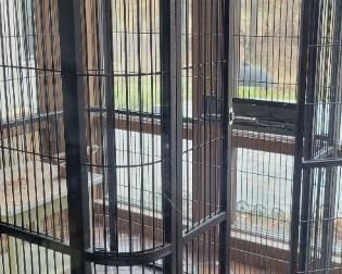Large bird cage 72x64x64, this is a pre sale item.$500