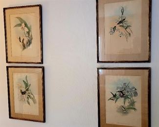 Antique botanical prints