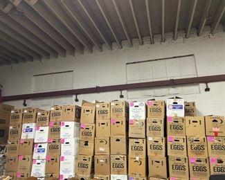 Box Lots Filled with Collectibles