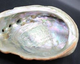Large Abalone Shell
