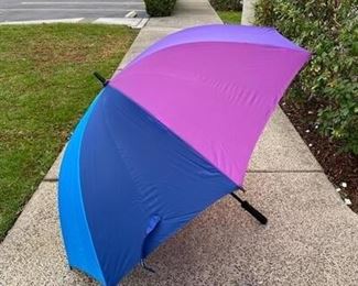 Raines Large Rainbow Colored Umbrella