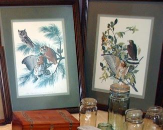 Vintage, Audubon, Prints, Bird, Owl, Mason, Canning Jars, Glass Domed Lids