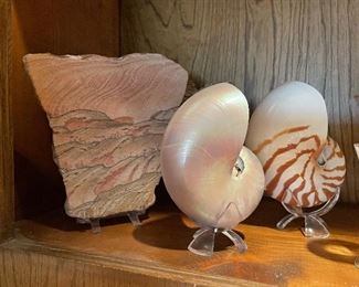 Sea shells and sand art