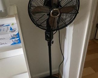 fan